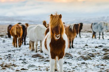 redcharlie O7zkyNkQ1lM unsplash 111919132055